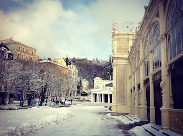 A picturesque winter scene in a European town featuring snow-covered trees and streets. Elegant, historic buildings line the path, with intricate architectural details. A grand building with tall glass windows is prominently visible on the right. The overall atmosphere is tranquil and serene, with a light dusting of snow creating a soft winter ambiance.