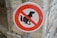 A circular sign with a white background and a red border, featuring a black silhouette of a dog squatting with a red diagonal line through it, indicating a prohibition. The sign is mounted on a metal pole against a stone wall background.