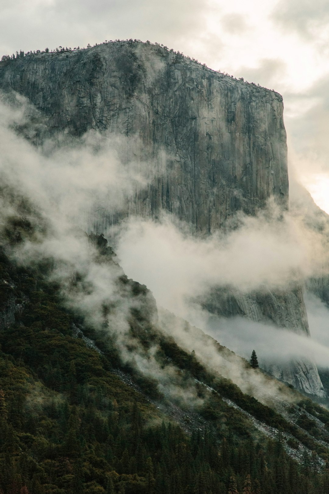 Cliff photo spot Yosemite Drive Manhattan