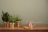 brass-colored garden water can on brown table