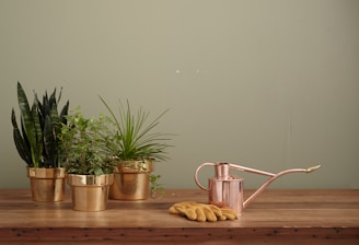 brass-colored garden water can on brown table