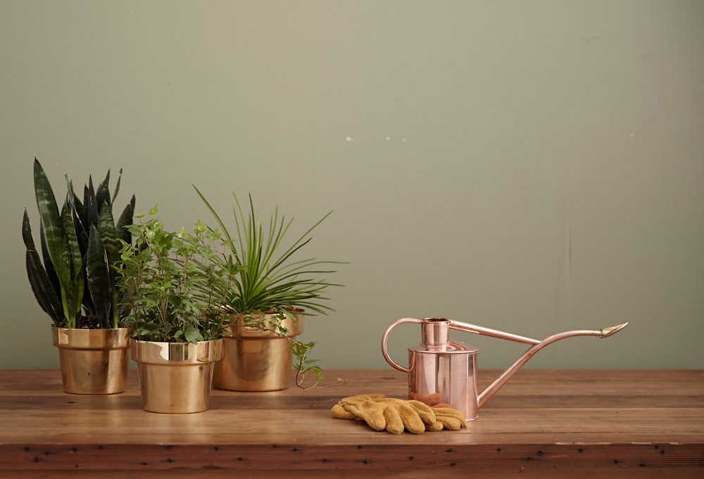 茶色のテーブルの上の真鍮色の庭の水缶