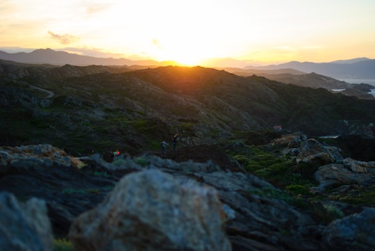 Cap de Creus things to do in Puerto de la Selva