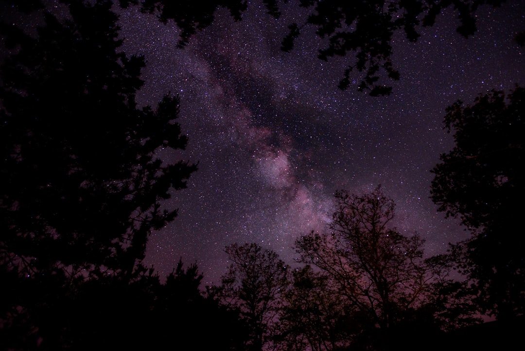 silhouette of trees during nighttime, I’ve never been a huge fan of the dark. I also never called myself “afraid of the dark”. As I starting trying to take more photos of the amazing stars, like this one, I became more familiar with standing in the dark alone for hours at a time. No phone. No light. A whole lot of waiting. Just me and the stars.<p></figure>What I have found is that being afraid of the dark, for me at least, means not owning up to whatever has been on my mind and bothering me. It means I have something I don’t want to confront and need to. It means I need to spend time alone thinking.</p><p>The dark is perfect for that.