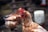 A close-up of a brown chicken with a red comb. In the background, there is another chicken slightly out of focus. The setting appears to be a farmyard, with blurred elements that suggest a rustic environment.