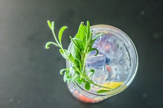 A refreshing beverage garnished with fresh herbs is seen from above. Ice cubes fill the glass, with a lemon slice adding a touch of color. The dark background provides contrast, highlighting the drink's vibrant and cool appearance.