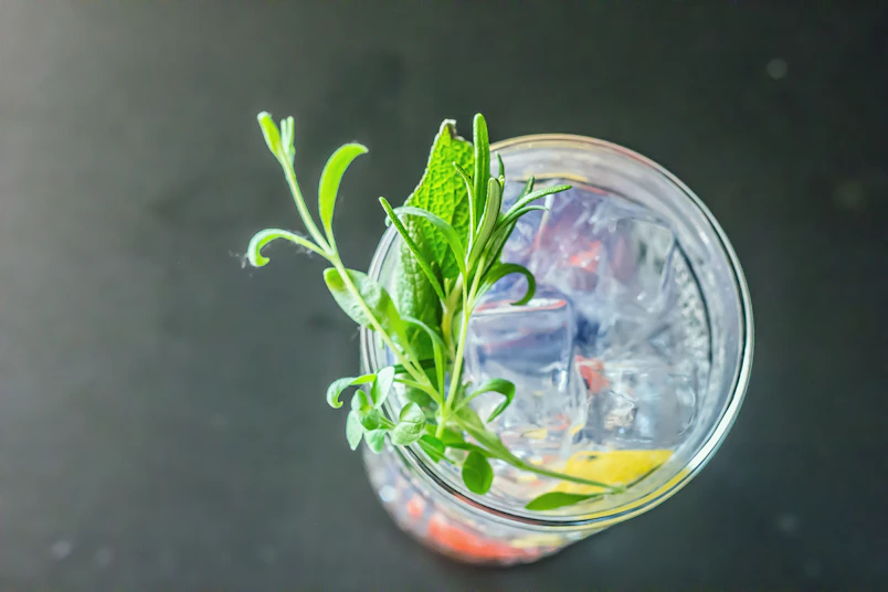 A close-up of a chilled botanical lemonade in an elegant glass with fresh herbs and lemon slices, set against a warm amber and green background.