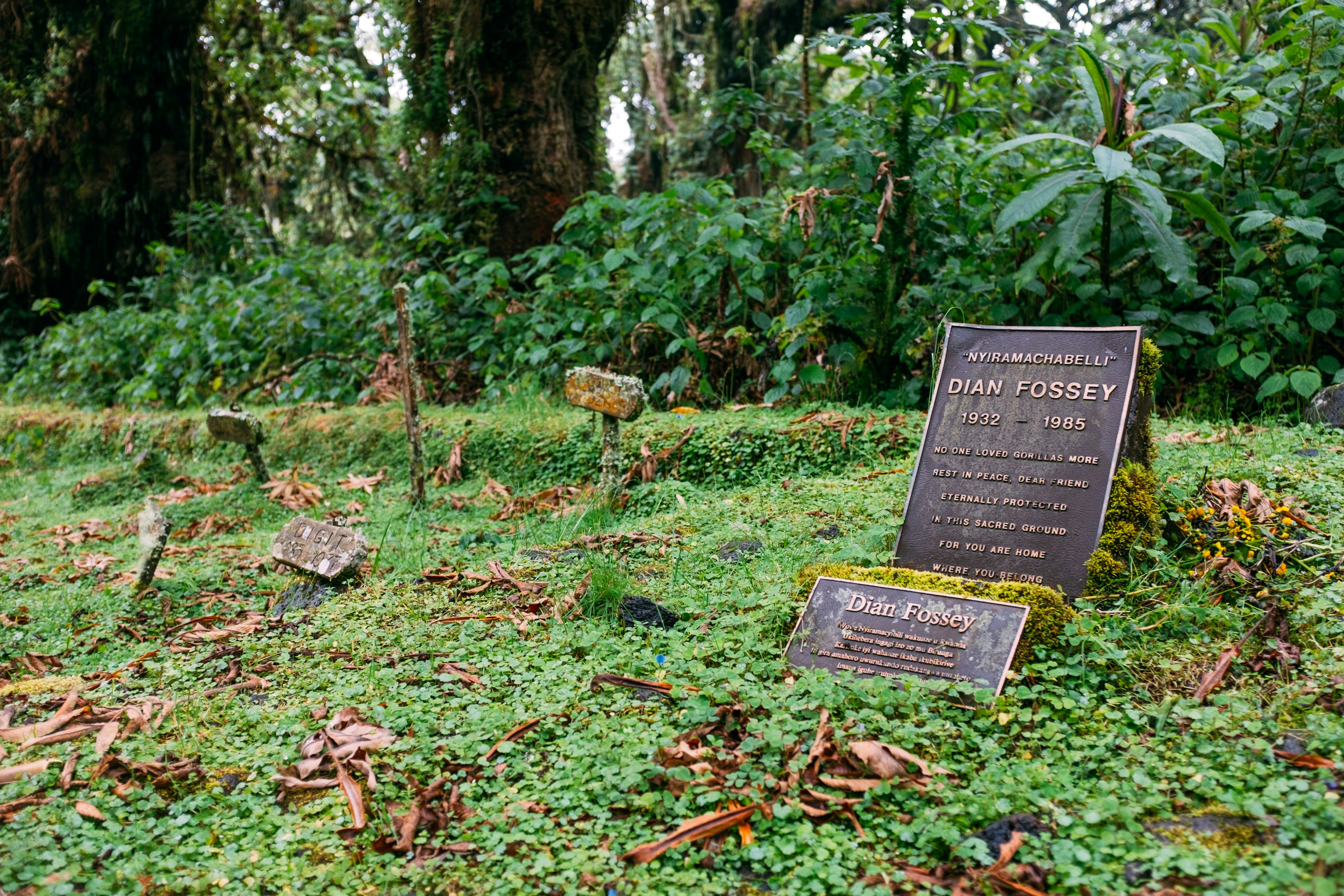 brown and black tomb stone surrounded by green plants