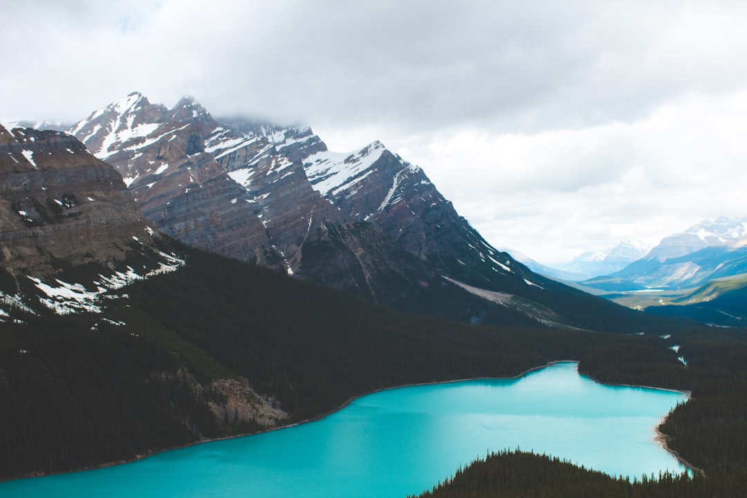 Glacial lake photo spot Bow Summit Peyto Lake