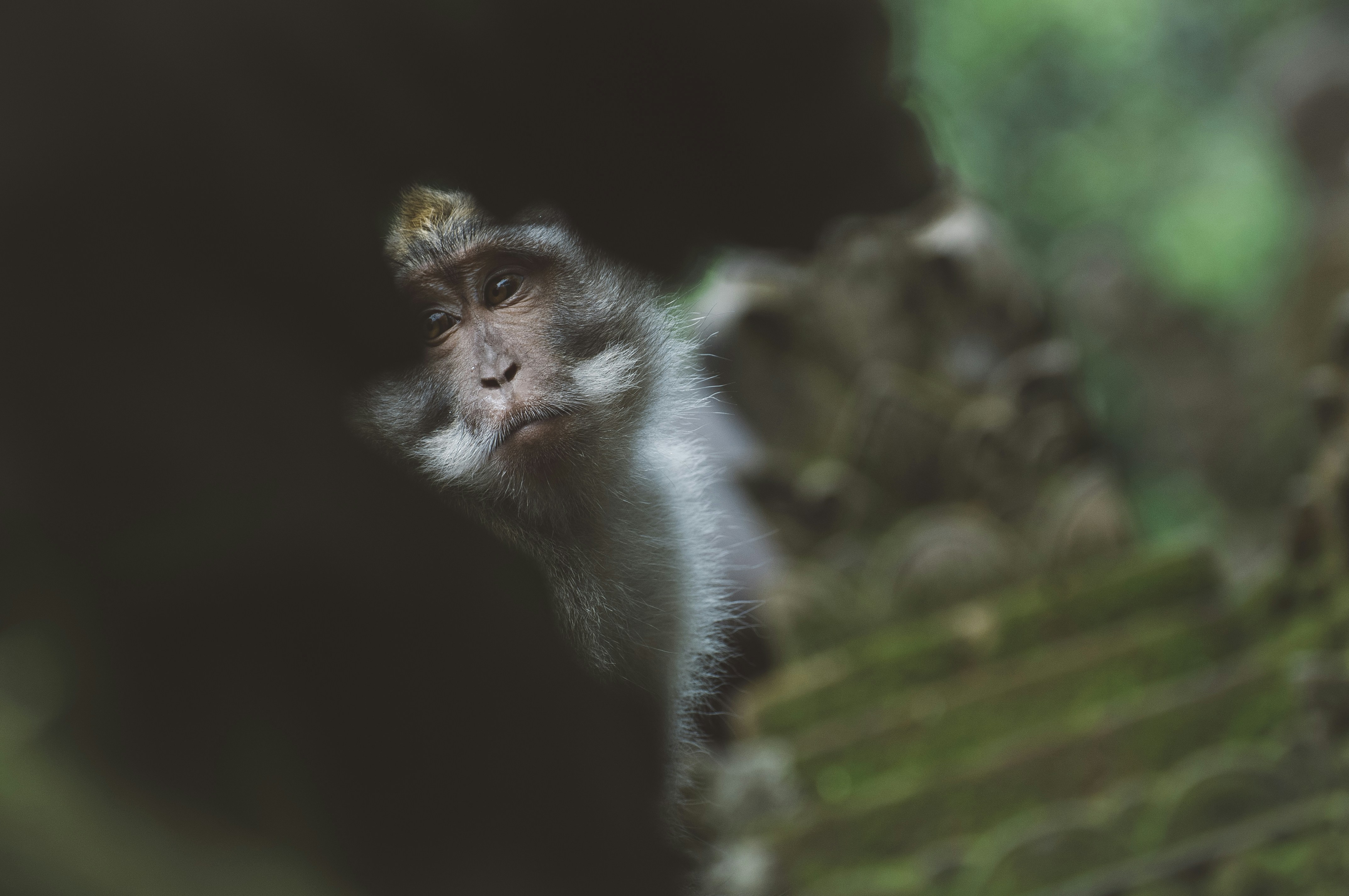 Free Unsplash photo from Sebastian Tiplea