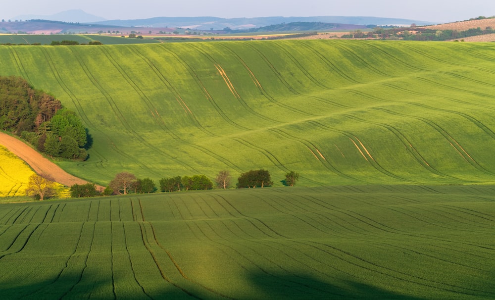 landscape photography of green mountain