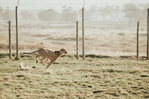 What Constitutes a Good Warm-up?