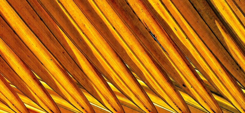 a close up view of a palm leaf