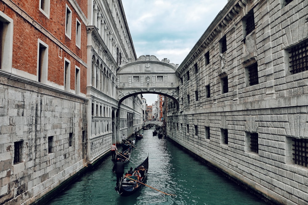 Gran Canal, Venecia, Italia