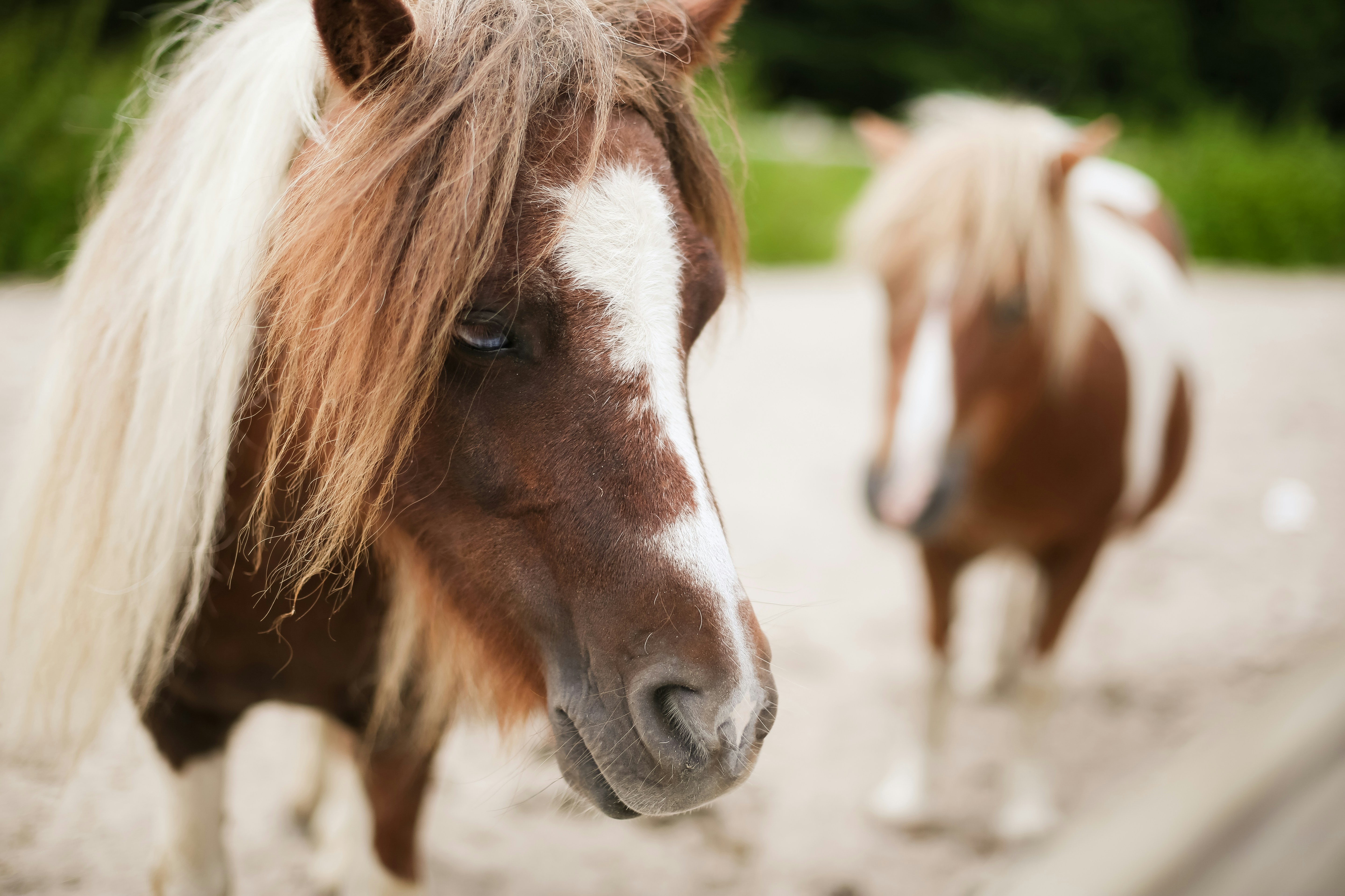 Free Unsplash photo from Zhen Hu