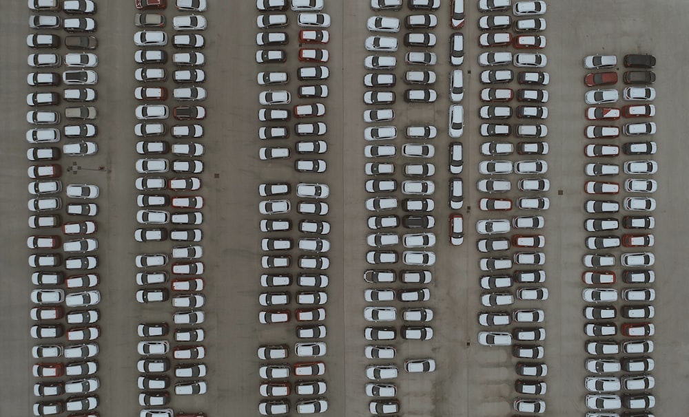 aerial photography of cars