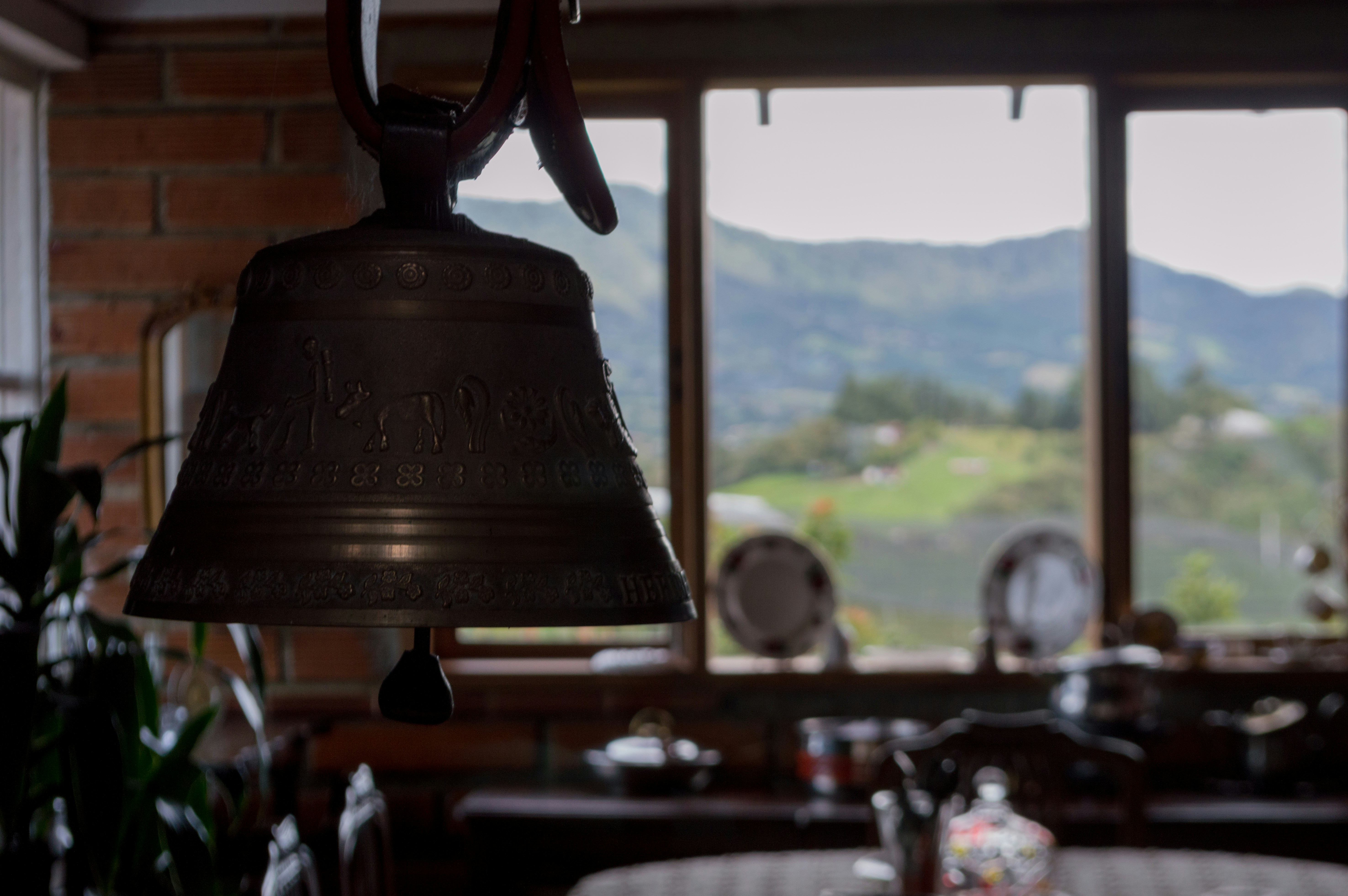 Free Unsplash photo from David Cortes