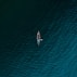 aerial photography of person riding boat on body of water