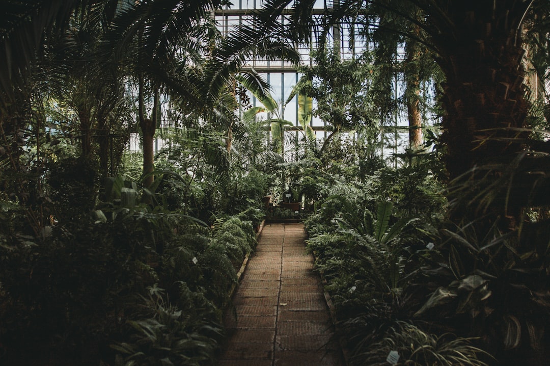 Travel Tips and Stories of University of Latvia Botanical garden in Latvia