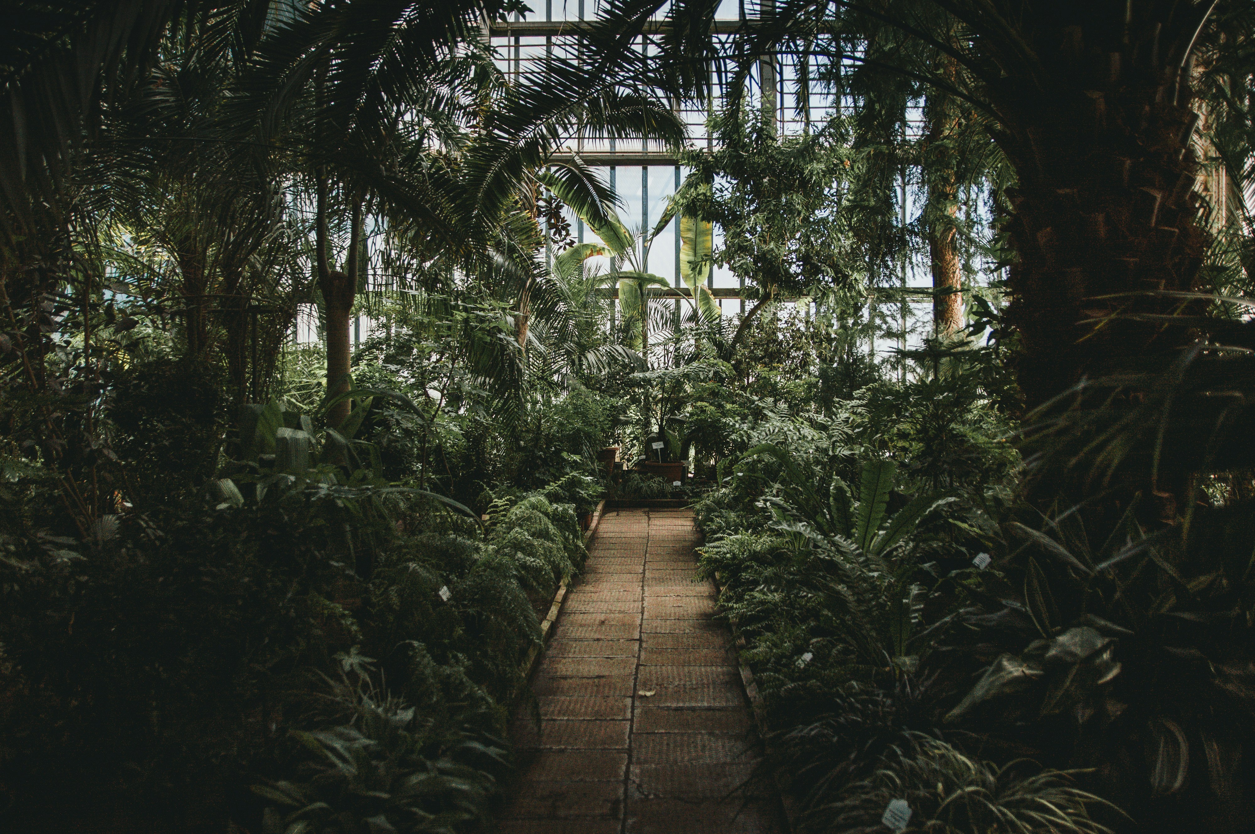 Botanic garden of Riga