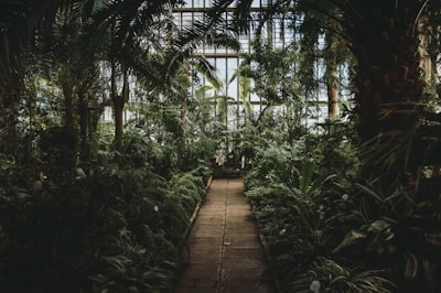 Botāniskais dārzs - From Inside, Latvia