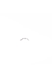 a bird flying in the sky on a clear day