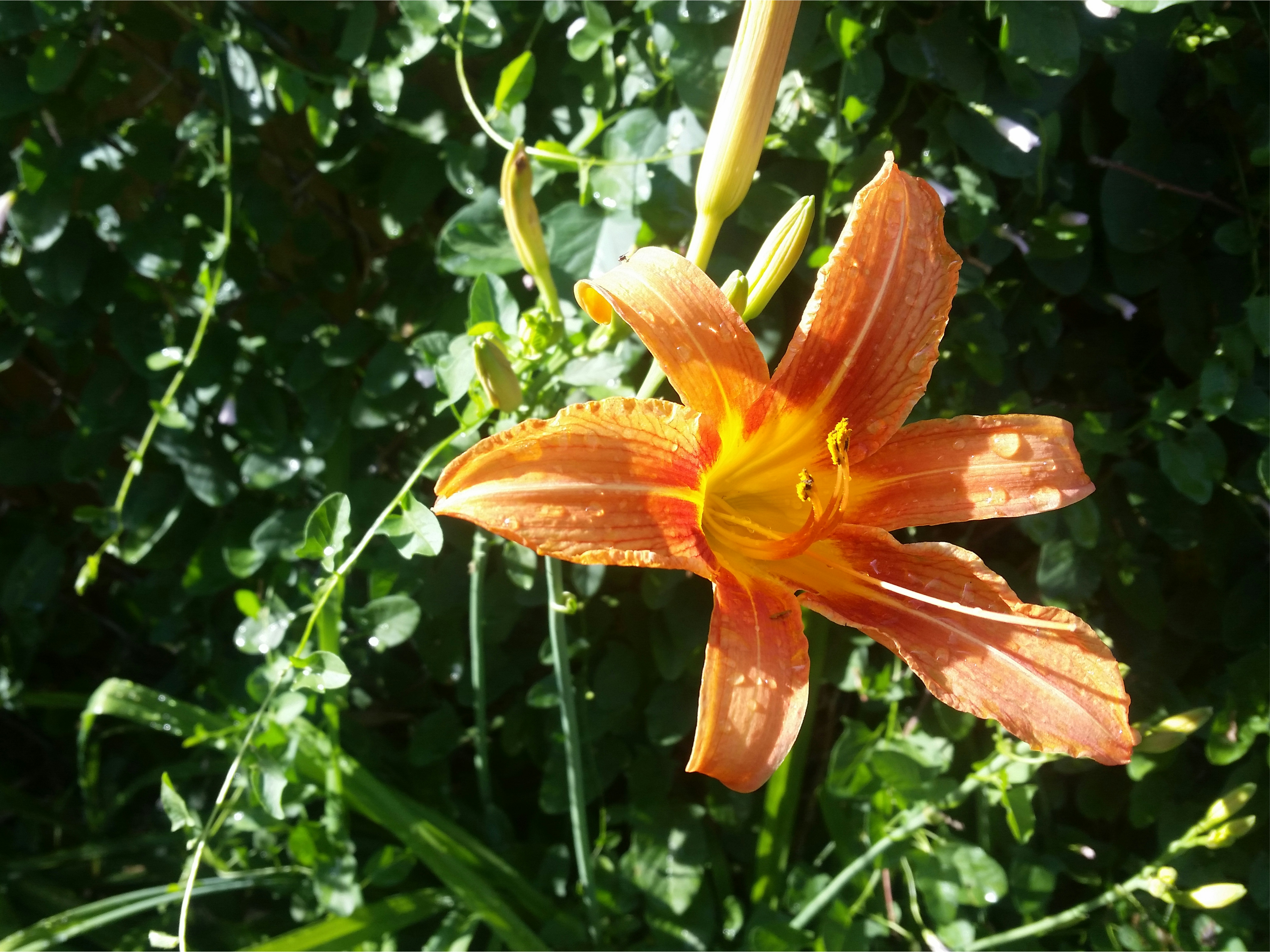 Free Unsplash photo from Sydney Wippman