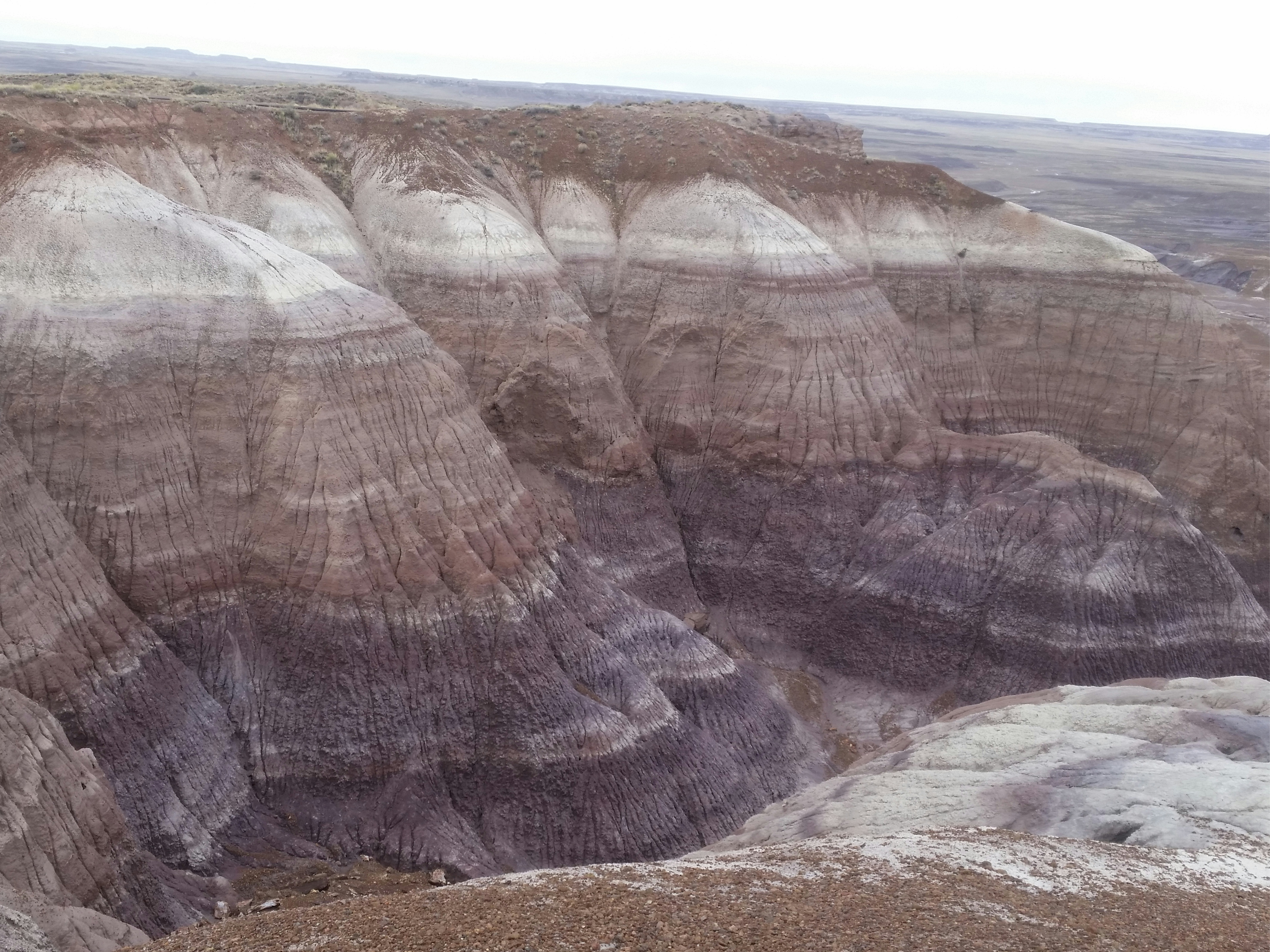 Free Unsplash photo from Sydney Wippman