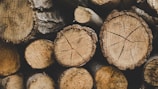 closeup photo of wood logs