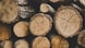closeup photo of wood logs