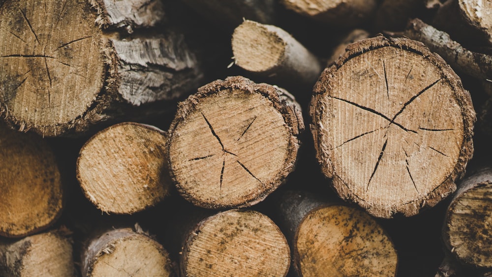 foto ravvicinata di tronchi di legno