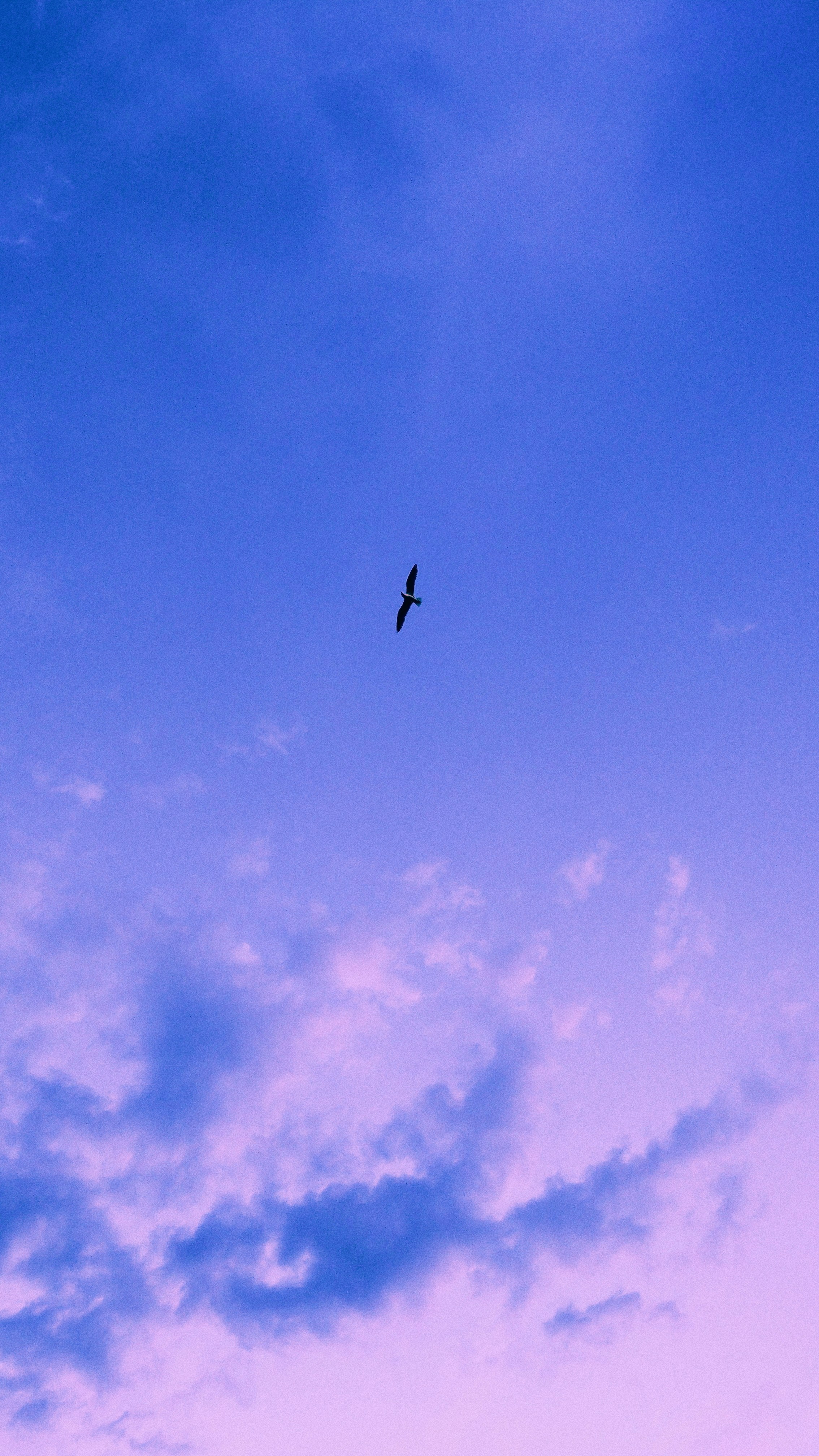 Free Unsplash photo from Nick Nice