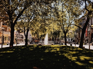 A serene park with lush greenery and a historic building in the background.