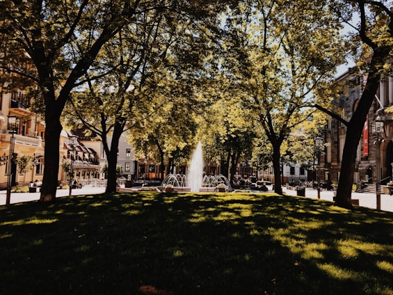 A serene park with lush greenery and a historic building in the background.