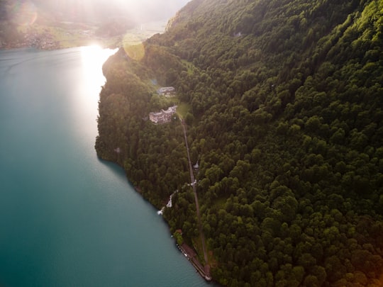 bird's eye view of house near cliff covered with trees in Grandhotel Giessbach Switzerland