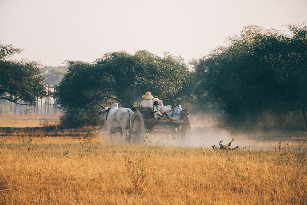 personne sur un chariot en mouvement