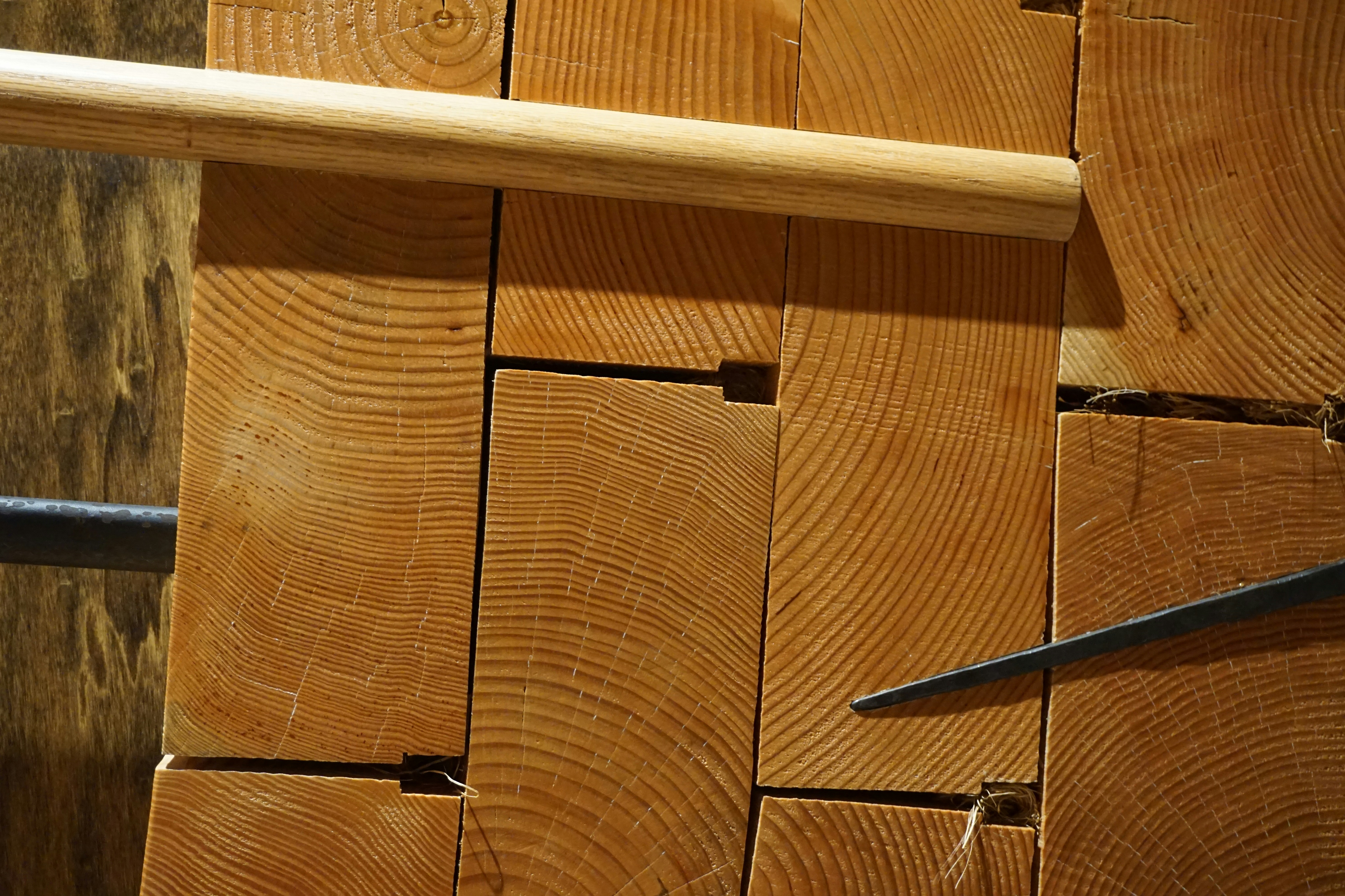 Free Unsplash photo from Glenn Haertlein