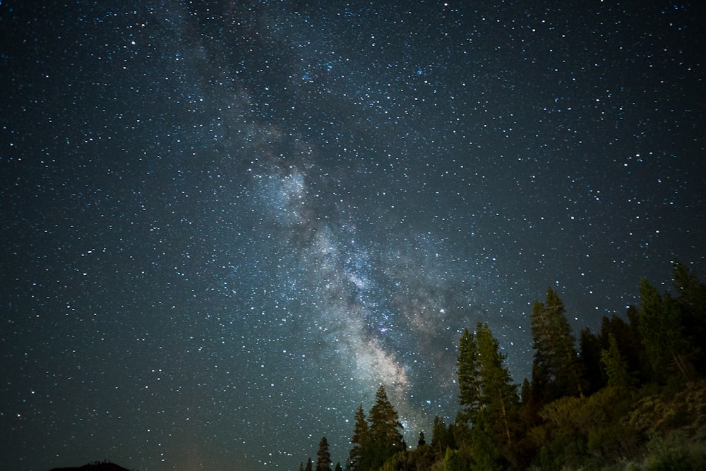 a sky full of stars  28 best free star, night, outdoor, and