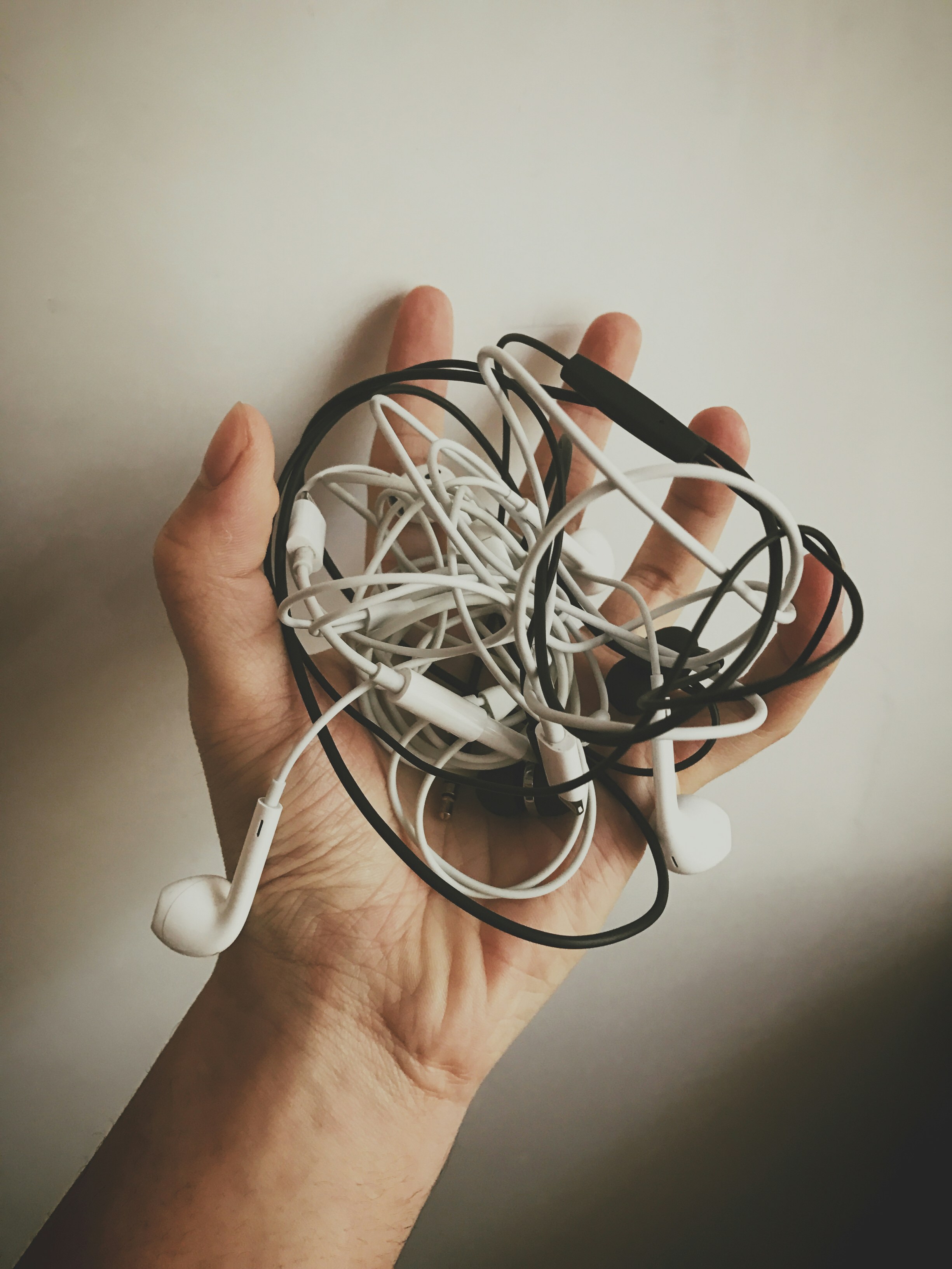 What Role Do Shared Interests and Hobbies Play in Forming Connections?