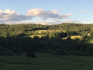 A serene landscape of Lithuania showcasing lush greenery and blue skies.