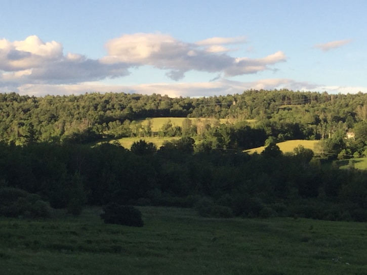 A serene landscape of Lithuania showcasing lush greenery and blue skies.
