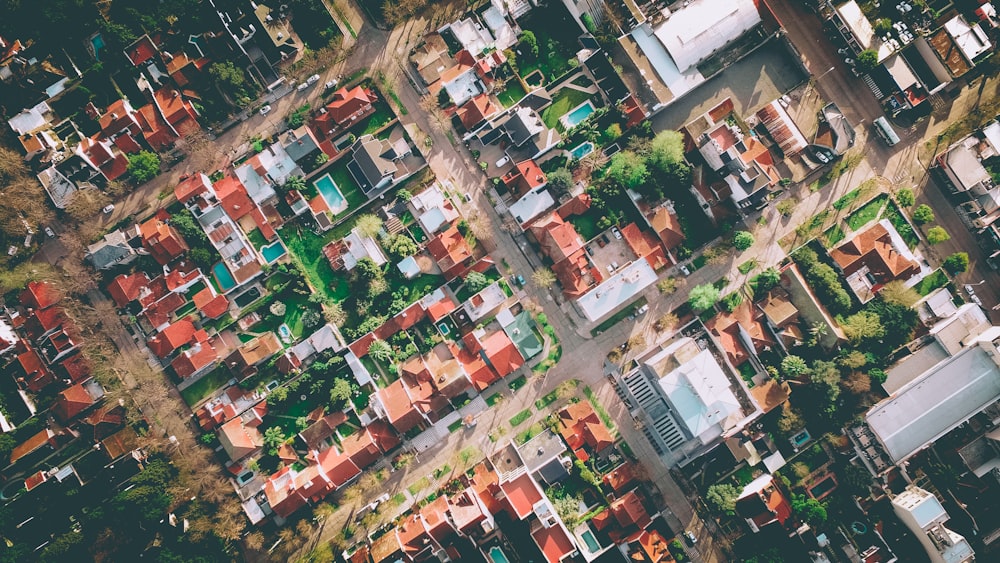 bird's eye view photography of city