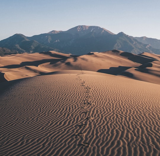 footprints on desert towards mountain in Kelso Dunes United States