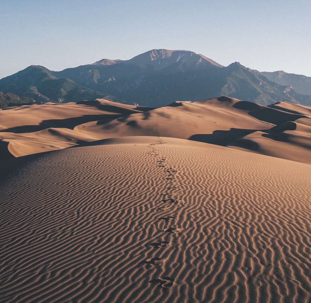 footprints on desert towards mountain