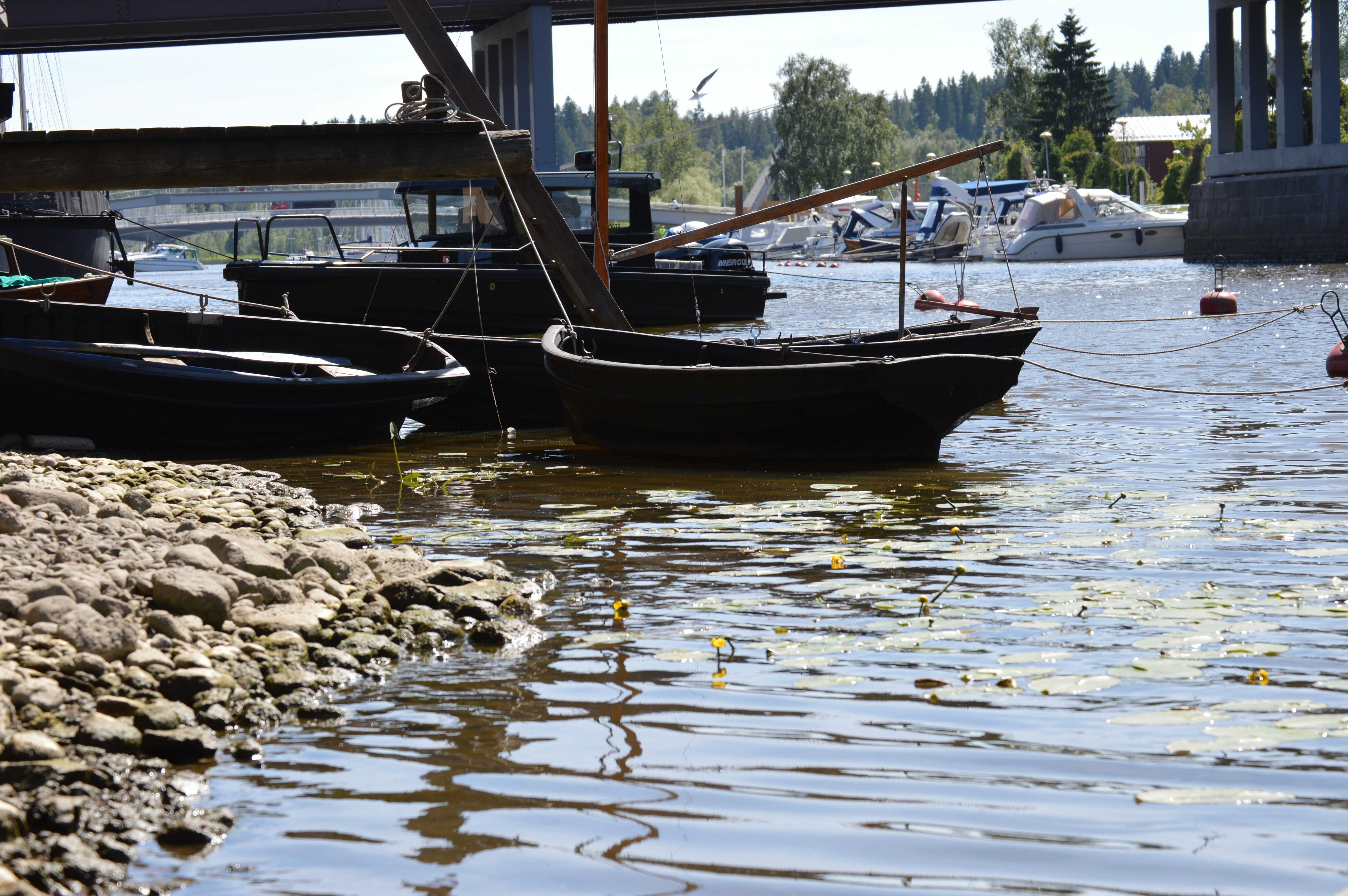 Free Unsplash photo from Shandi Darnell-Shifflett