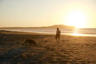 A sunset view of a group walking their dogs along a beach in Puerto Rico.