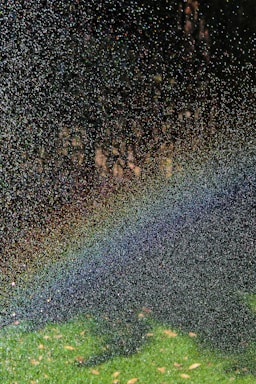 A mist of water droplets suspended in the air creates a spectrum of rainbow colors against a backdrop of dark trees. The ground below appears green with scattered leaves.