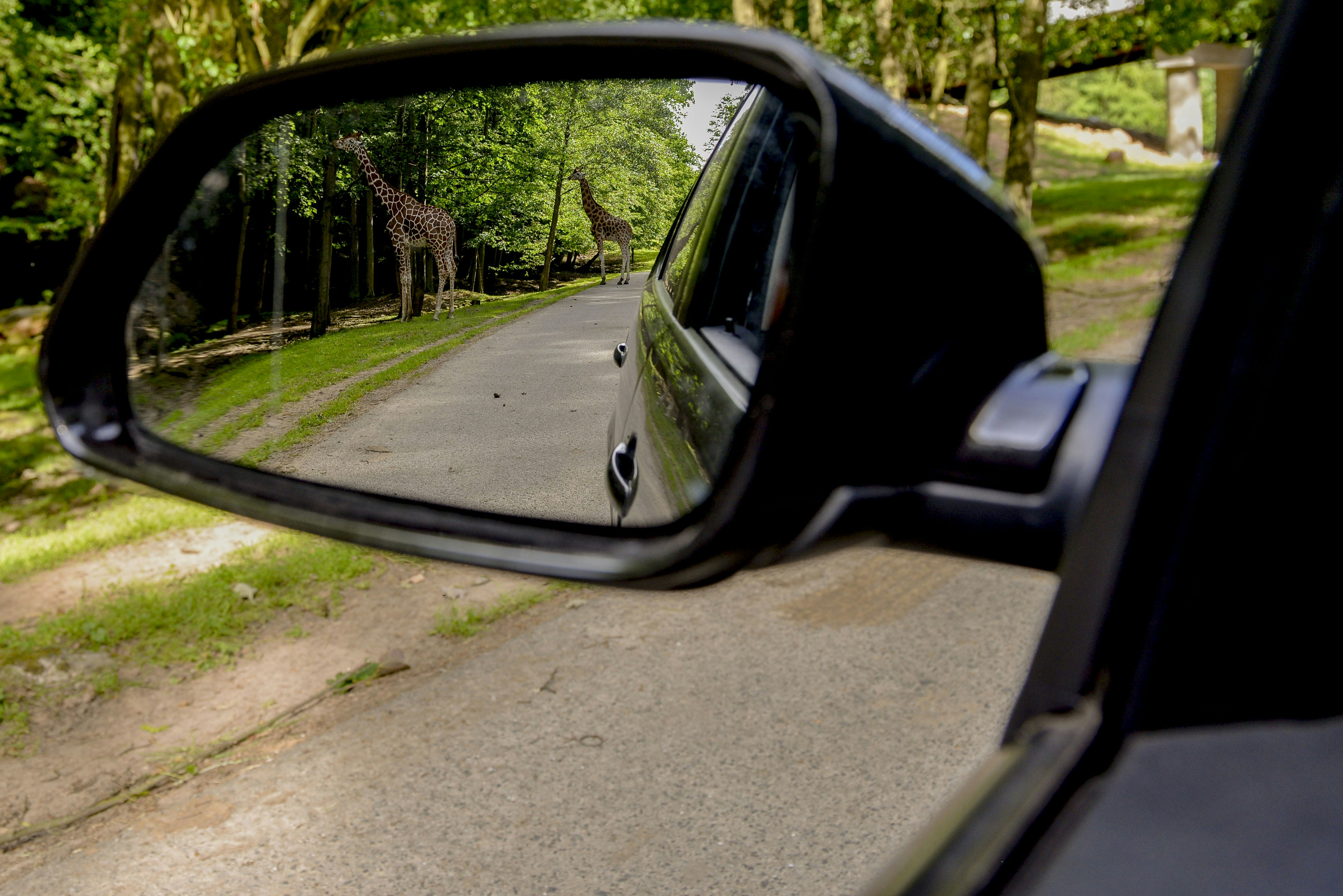 Free Unsplash photo from Sylwia Pietruszka