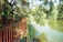 A freshly built wooden deck glowing warmly in the afternoon sun, surrounded by green trees.