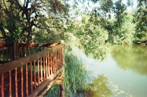 A wooden deck extends into a serene natural setting, surrounded by lush green trees and foliage. A calm body of water reflects the greenery and sky, creating a peaceful atmosphere. Sunlight filters through the leaves, adding warmth to the scene.
